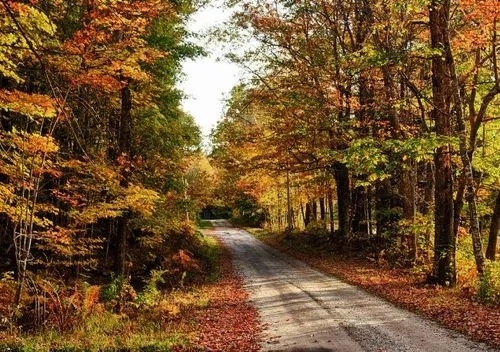 近期，緬因大學(xué)、新英格蘭林業(yè)基金會(huì )和美國林務(wù)局的研究人員，對緬因州北部大部分屬于私有商業(yè)林的7萬(wàn)畝森林進(jìn)行建模研究后，最終根據研究結果，發(fā)布了一項有關(guān)緬因州森林碳吸收的新發(fā)現。